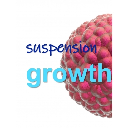 Suspension Growth.jpg