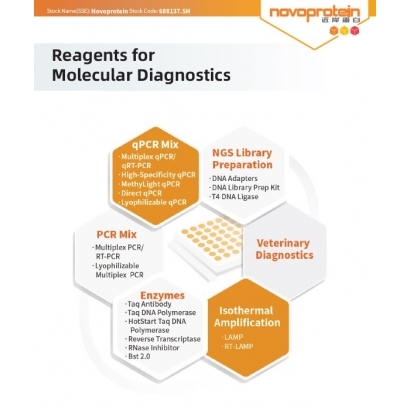 5_Novoprotein Molecular Diagnostics_封面.jpg