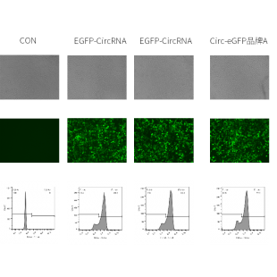 圖 1 他牌比較 24h.png