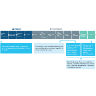 圖1. mRNA的生產過程與測試.png