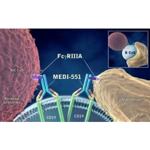 圖4. 來源於：Viela Bio公司官網.png