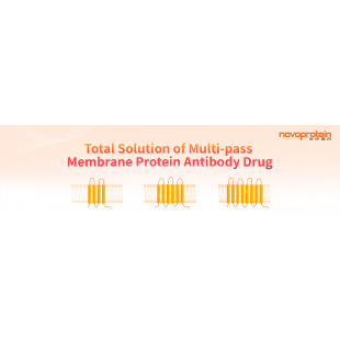 Total Solution of Multi-pass Membrane Protein Antibody Drug.png