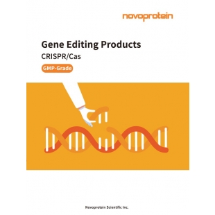 2025-GMP Grade CRISPR Cas Gene Editing Product brochure 封面.jpg