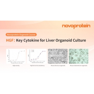 202505_ 新蛋白類器官課程_NVP_Linkedin.jpg