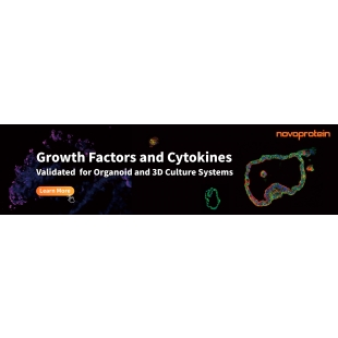 Growth Factors and Cytokines for Organoid and 3D Culture Systems.jpg