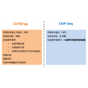 4_與ChIP相比，CUT_Tag優勢清晰可見.png