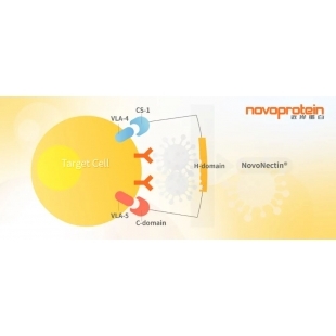 圖1 NovoNectin ®增強病毒轉導效率作用原理示意圖.jpg