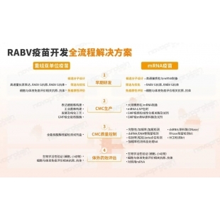 圖1 RABV疫苗開發權流程解決方案.jpg