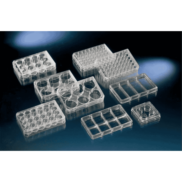 のん Thermo Scientific 140675 Nunc Cell-Culture Treated