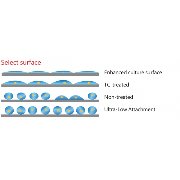 Select surface_CCP.jpg