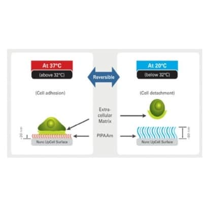 Nunc™ Multidishes with UpCell™ Surface-1.jpg