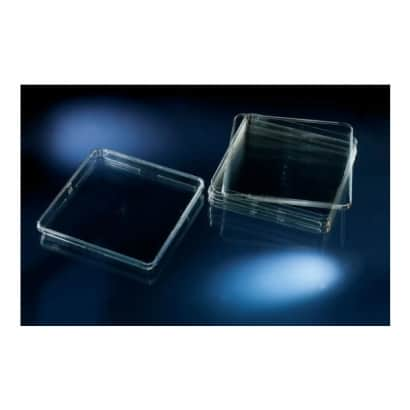 166508_Nunc™ Square BioAssay Dishes.jpg