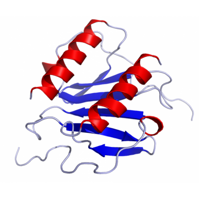 Chemokine_IL8_Solution_Structure.rsh.png