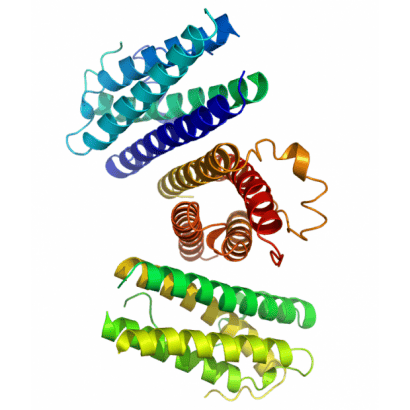 GCSF_Crystal_Structure.rsh.png