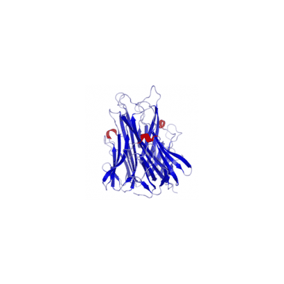 250px-TNFa_Crystal_Structure.rsh.png