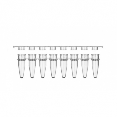 8-Strip PCR Tubes and cap.jpg