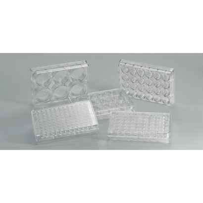 CCP Plate-1.jpg CCP Plate-1.jpg