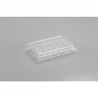 CL-PT024.jpg CL-PT024.jpg