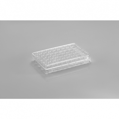 CL-PT048.jpg CL-PT048.jpg