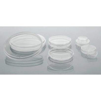 CCP Dishes-1.jpg CCP Dishes-1.jpg