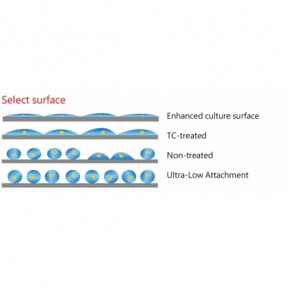 Select surface_CCP.jpg