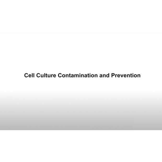 Cell Culture Contamination and Prevention.jpg